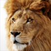 ПОСЛЕДНИЕ НОВОСТИ: совместимость решений управления цветом X-Rite с Lion